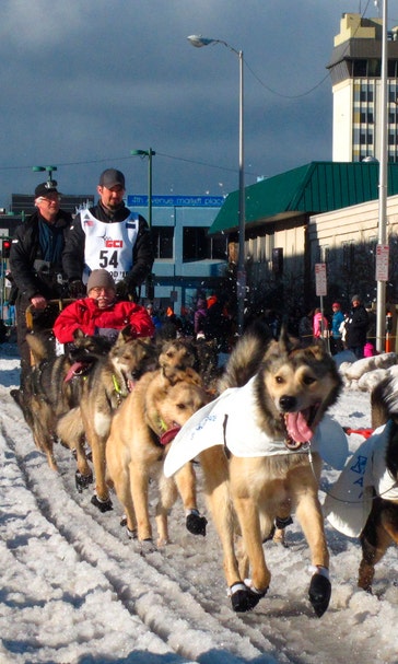 Iditarod changes tack, will meet with animal welfare leader